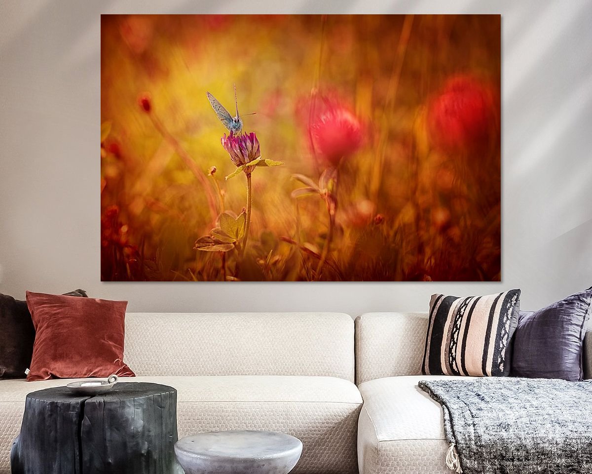 Raumvorschau