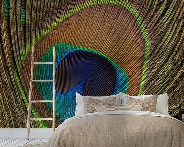 Peacock feather on top of pile of peacock feathers vertical by Marjolijn van den Berg