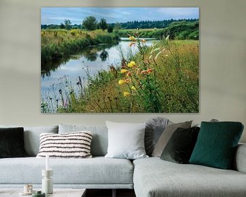 Grote gele Teunisbloem in wilde bloemenweide aan Rivier de Vecht bij Ommen van Wildlife Designs