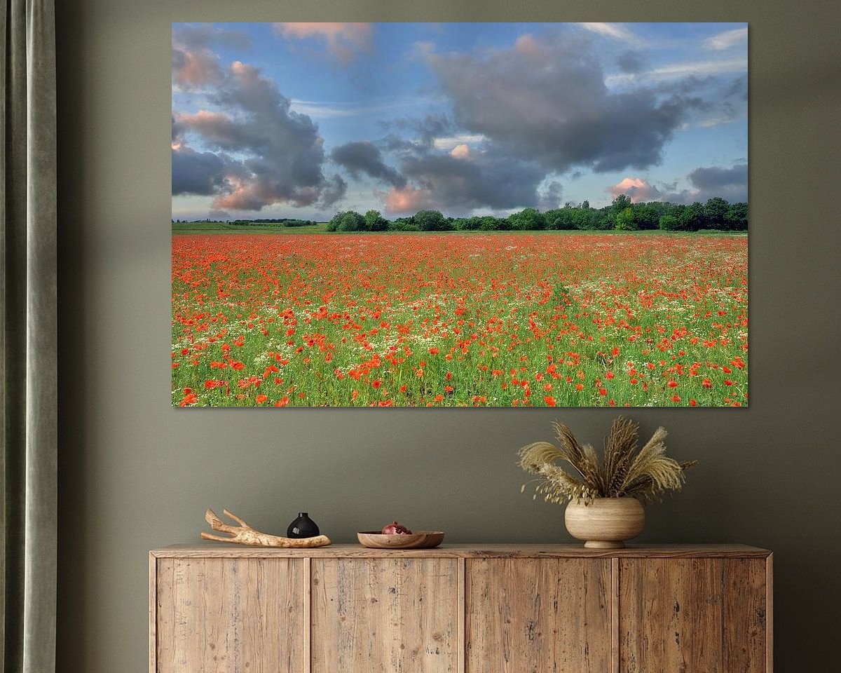 Raumvorschau