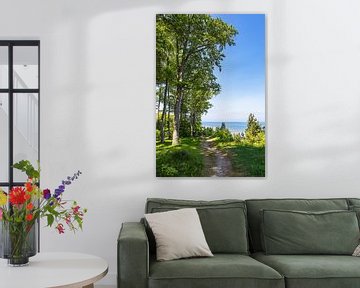 Wandelpad op de kliffen bij Bansin op het eiland Usedom van Rico Ködder