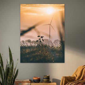 Lever de soleil avec moulin à vent