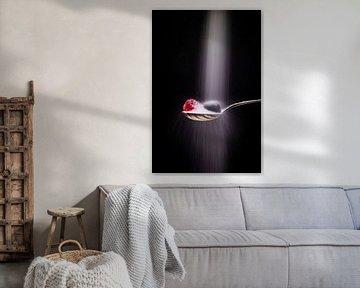 Rood, zwart en suiker