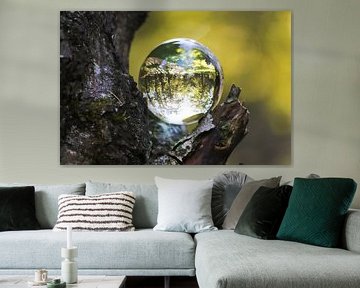 Oisterwijk nature through a crystal ball by Alex van de Ven