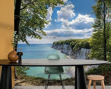 Kreidefelsen auf der Insel Rügen von Rico Ködder