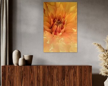Dahlia. Zachte uitstraling met waterdruppels. van Alie Ekkelenkamp