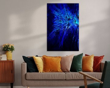 Blauw koraal van Studio Zwartlicht