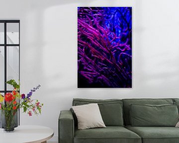 Roze en blauw koraal van Studio Zwartlicht