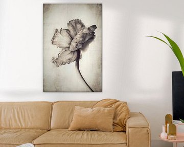 Tulp. Retro. Basic. van Alie Ekkelenkamp