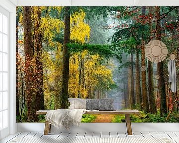 Colors of the Wood by Lars van de Goor