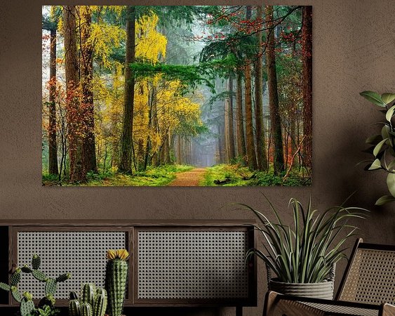 Aperçu de la chambre