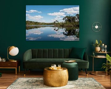 Landscape with water reflections