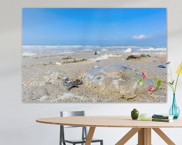Beautiful Jellyfish on a summer beach by the sea by Wildlife Designs