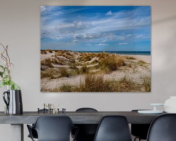 Zandduinen en de Oostzee Warnemünde, Mecklenburg-Vorpommern van Animaflora PicsStock