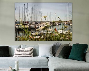 Haven Ouddorp