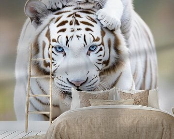 Witte tijger met zachte kracht van Max Steinwald