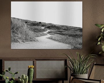 Het pad door de duinen van studio Arcis fotografie