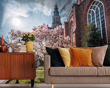 Magnolia in Sint Jansstraat next to Martini Church, Groningen by Harmen van der Vaart