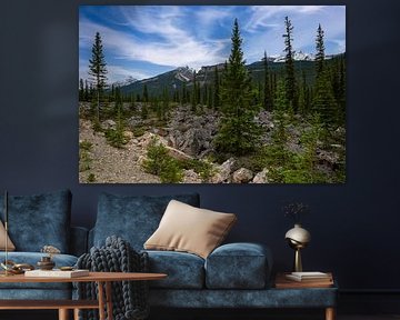 Unwegsames Gelände in den Rocky Mountains Kanada
