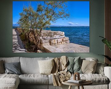 Kroatië : Eiland Ugljan - Preko