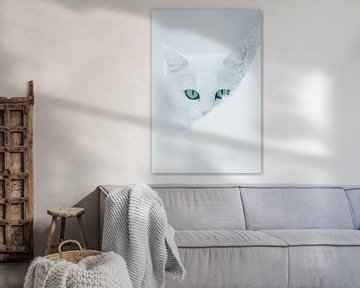 Witte kat van Poster Art Shop