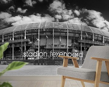 Stadion Feyenoord ofwel De Kuip, panorama van Pieter van Roijen