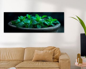 Mint plant by Poster Art Shop