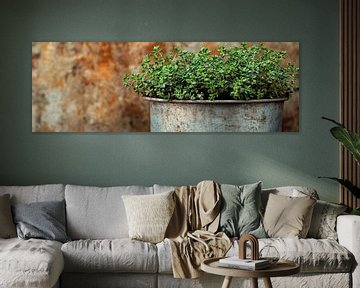 Kruidenpot van Poster Art Shop