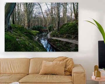 Bos in Elswout met een sprookjesachtige sfeer van Kingkev fotografie