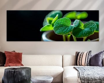 Potted plant by Poster Art Shop