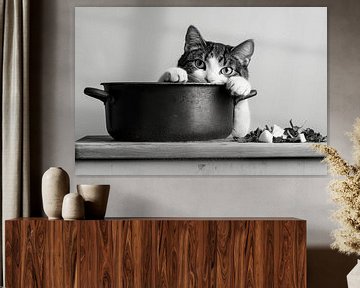 Katten koken van Poster Art Shop