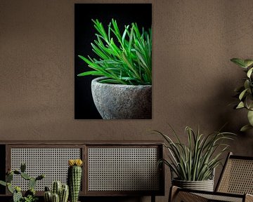 Küchenkräuter von Poster Art Shop