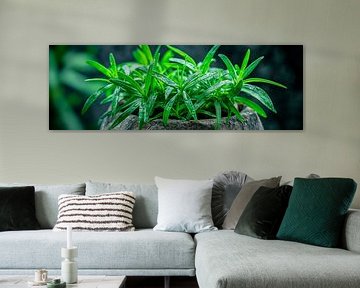 Kruidenpot van Poster Art Shop