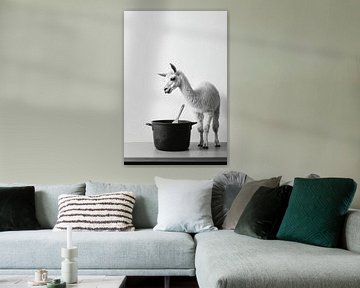 Lama in de keuken van Poster Art Shop