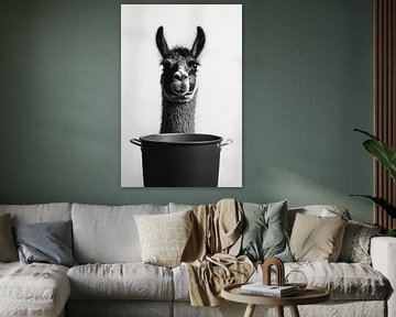 Lama im Topf von Poster Art Shop