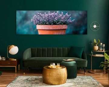Pot de lavande sur Poster Art Shop