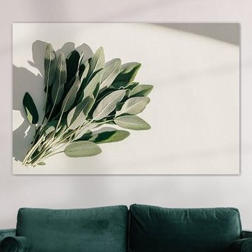 Sage sprig by Poster Art Shop