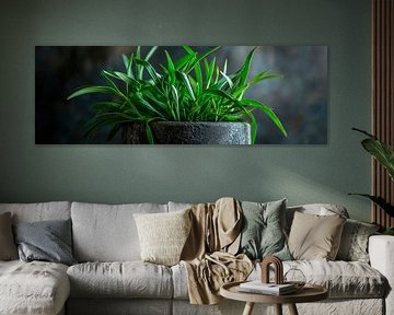 Pot with plants by Poster Art Shop