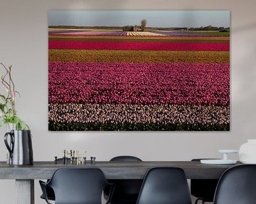 Kleurrijk tapijt van tulpenbollen  van Tiny Hoving-Brands