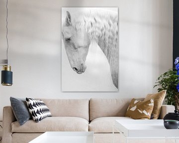 Portret wit paard in Fine Art zwart-wit van Shirley van Lieshout