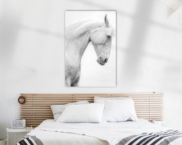 Stoer Fine Art portret wit paard zwart-wit van Shirley van Lieshout