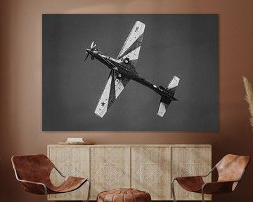 Single-engine aircraft