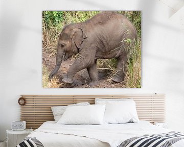 Dombo de kleine olifant in Sri lanka van Ton Tolboom