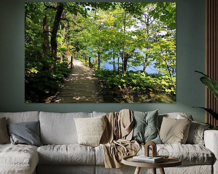 Aperçu de la chambre