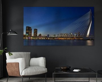 Erasmus brug Rotterdam van margriet kersbergen