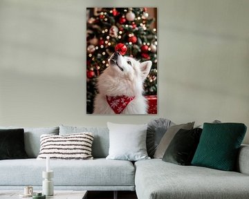 Weihnachtsgoldie von Poster Art Shop