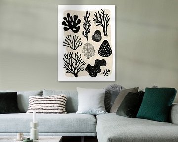 Coral Collection