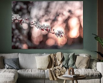 Bokeh Art