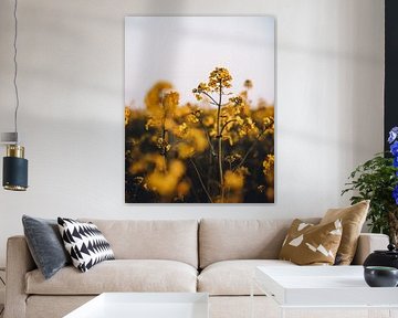 Bokeh Art