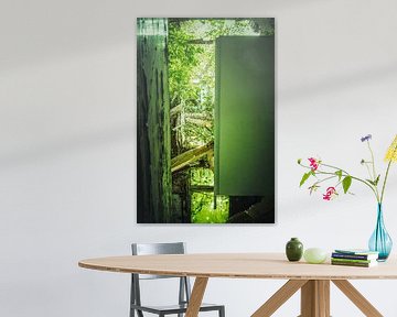 Instortende muren en ongebreidelde natuur - een verloren plek in de greep van de natuur van InfiniteArtLabs